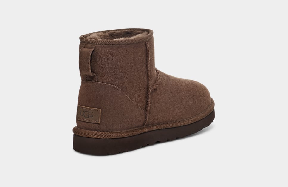 Bottes UGG Mini Marron — vue 4